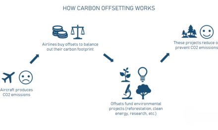 How does carbon offsetting work in the aviation industry, and is it effective?