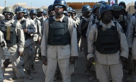 What role do private defense companies play in national security services?