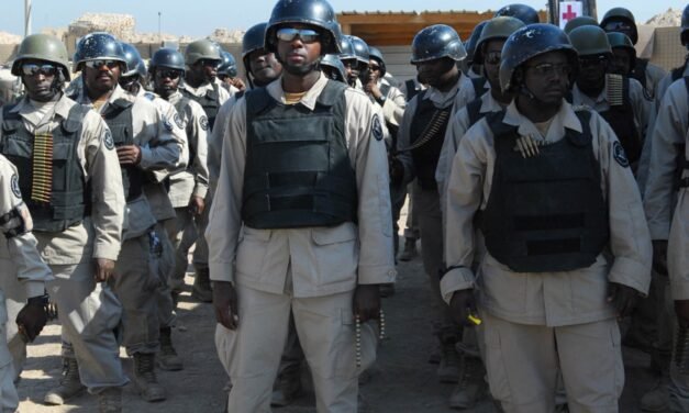 What role do private defense companies play in national security services?