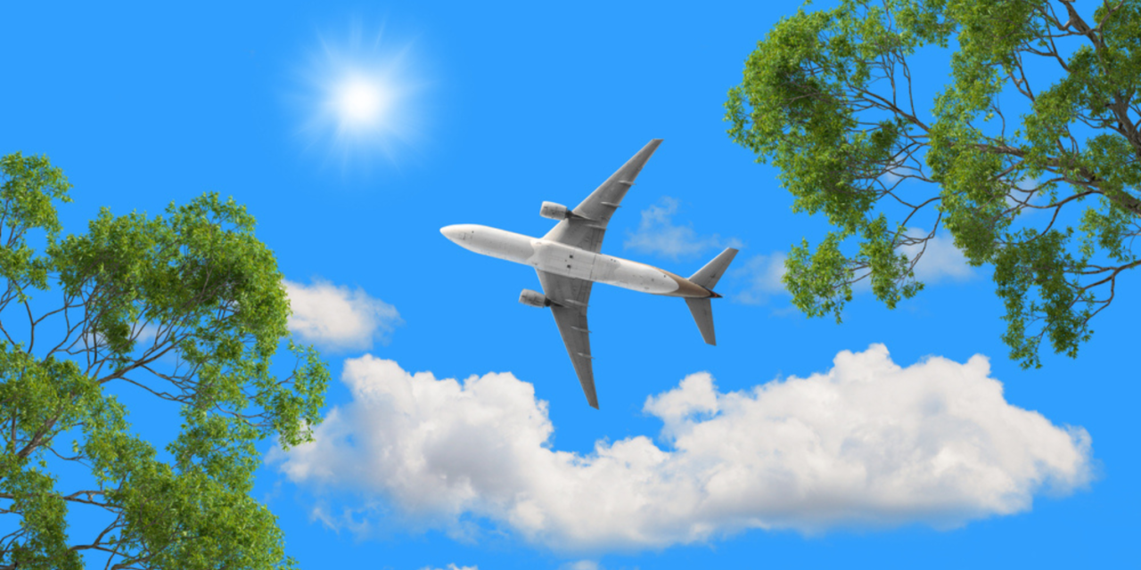 How do environmental concerns drive innovation in sustainable aircraft technologies?